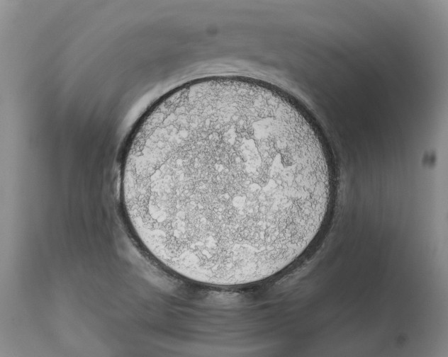 X0000114171509200911051516