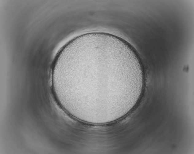 X0000114171510200911051516