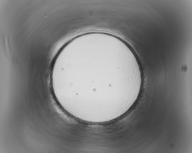 X0000114171511200911051516