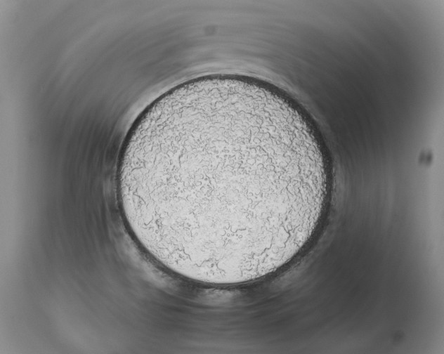 X0000114171513200911051516