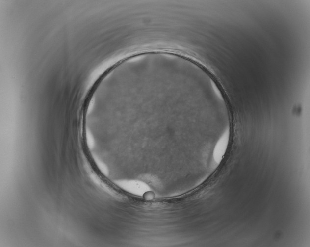 X0000114171515200911051516