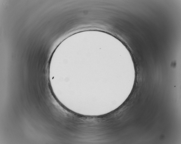 X0000114171516200911051516