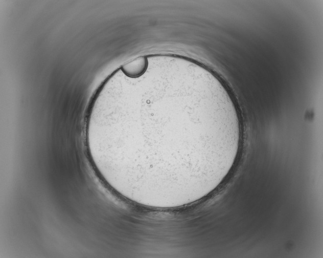 X0000114171517200911051516