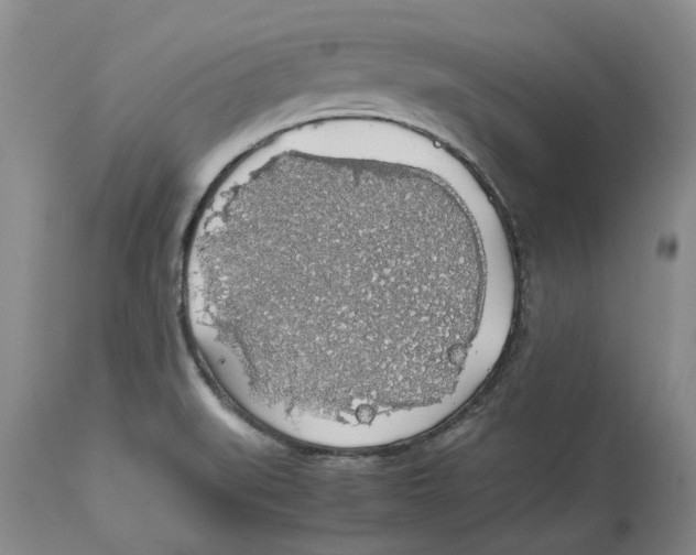 X0000114171519200911051516