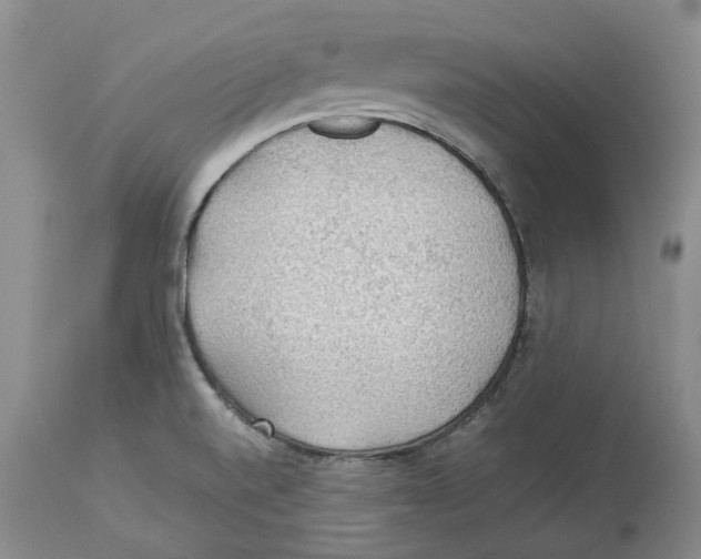 X0000114171520200911051516