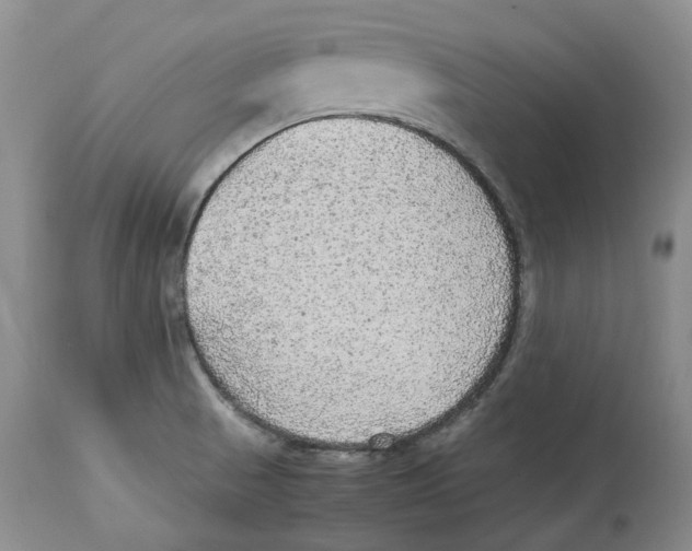 X0000114171521200911051516