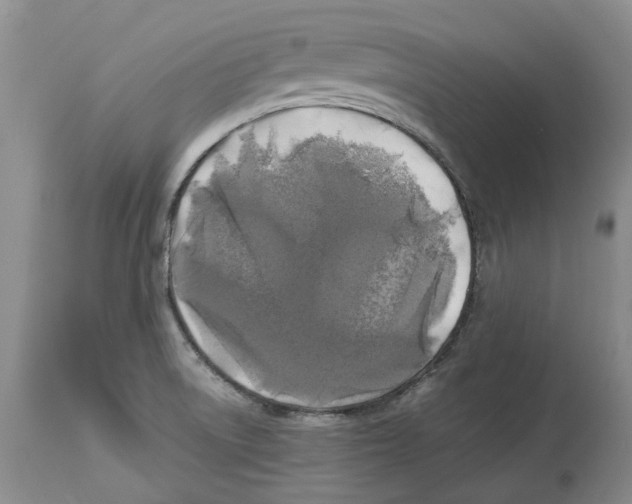 X0000114171522200911051516