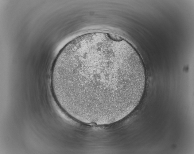 X0000114171523200911051516