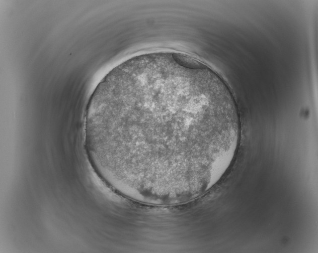 X0000114171524200911051516