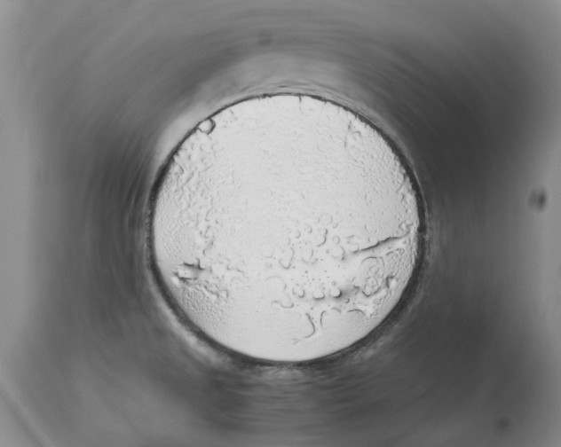 X0000114171525200911051516