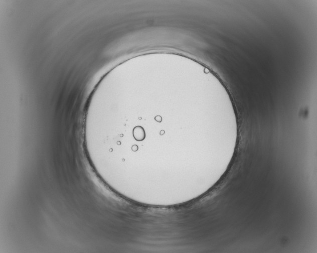 X0000114171526200911051516