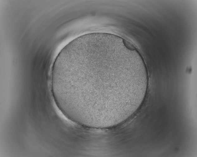 X0000114171528200911051516