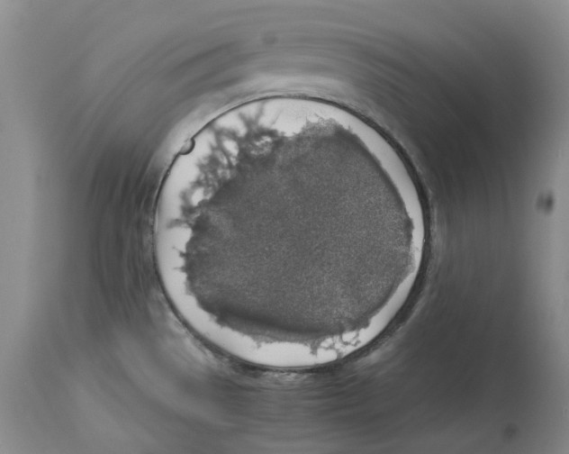 X0000114171529200911051516