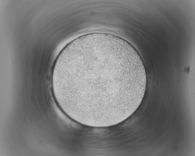 X0000114171531200911051516