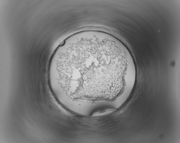 X0000114171533200911051516