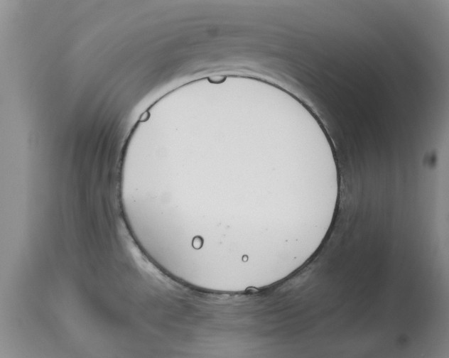 X0000114171534200911051516