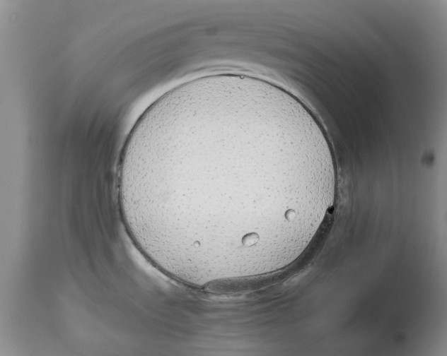 X0000114171535200911051516