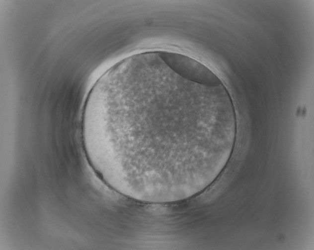 X0000114171536200911051516