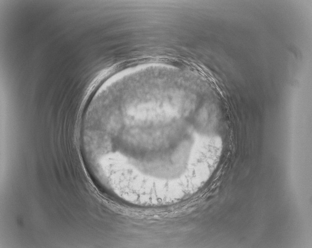 X0000114170003200911191256