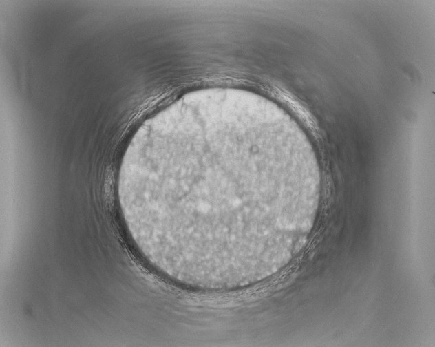 X0000114170009200911191256