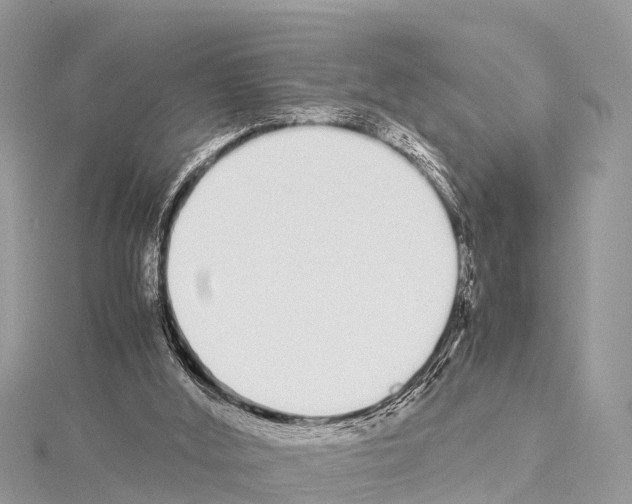 X0000114170012200911191256