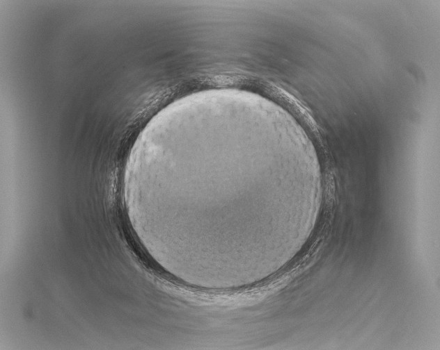 X0000114170018200911191256