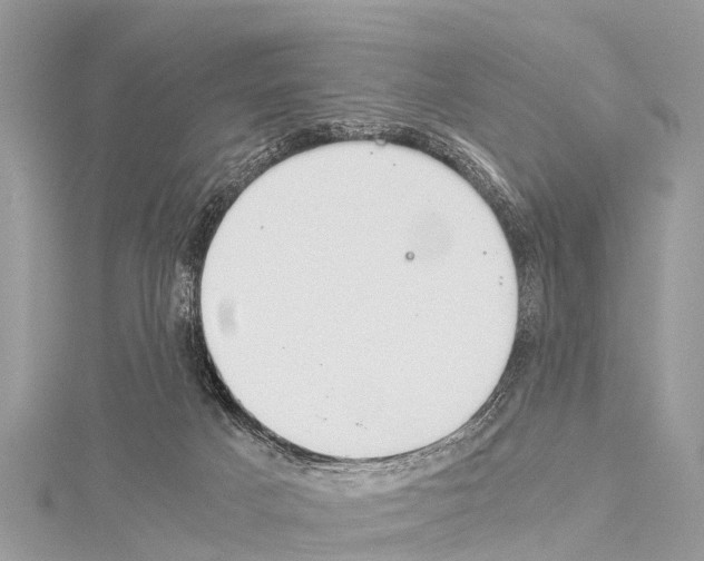 X0000114170025200911191256