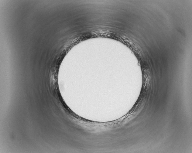X0000114170040200911191256