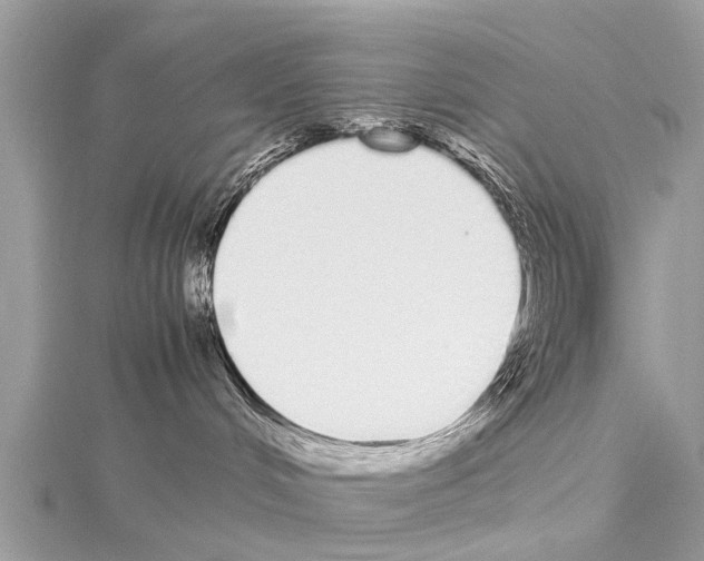 X0000114170048200911191255