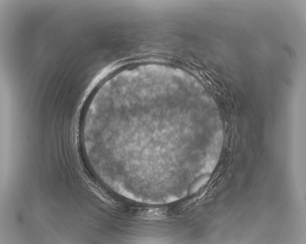 X0000114170056200911191255