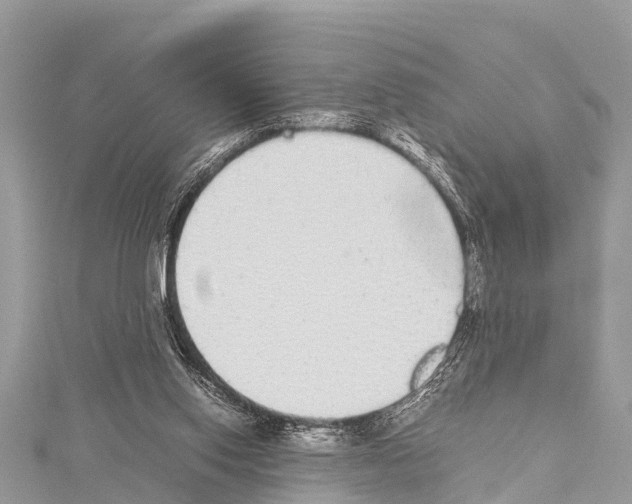 X0000114170062200911191255