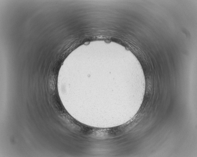 X0000114170078200911191255