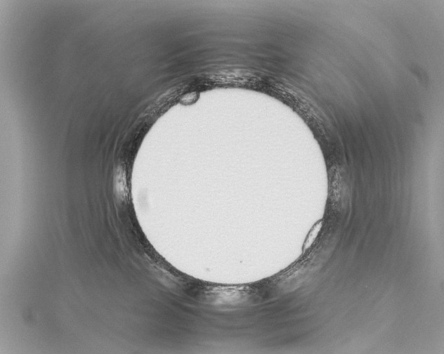 X0000114170089200911191255