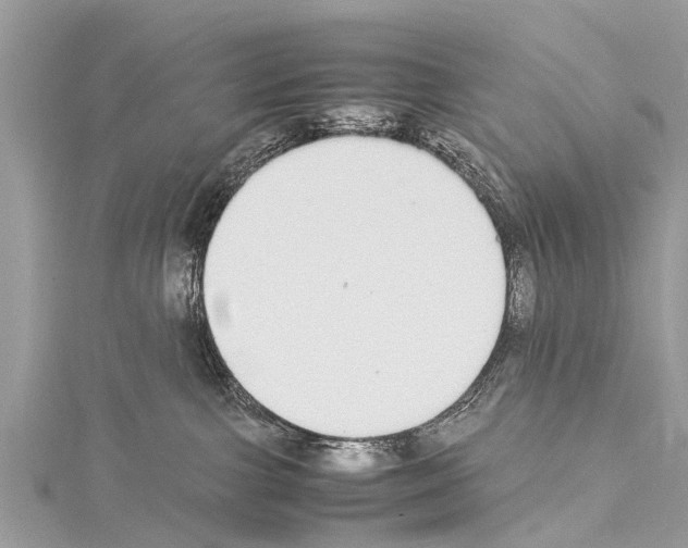 X0000114170091200911191255