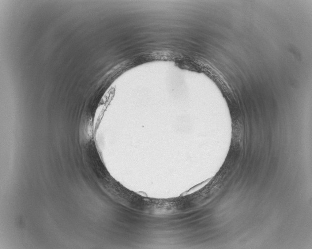 X0000114170095200911191255