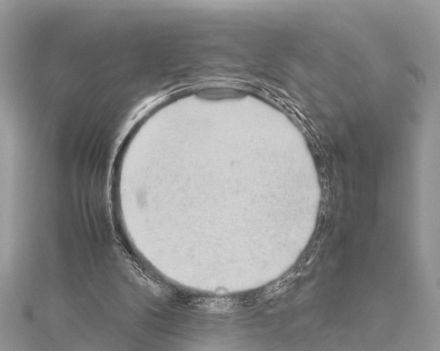 X0000114170104200911191255