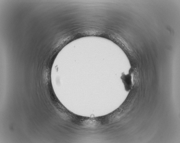 X0000114170119200911191254
