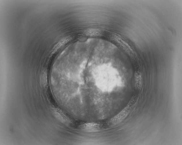 X0000114170158200911191254