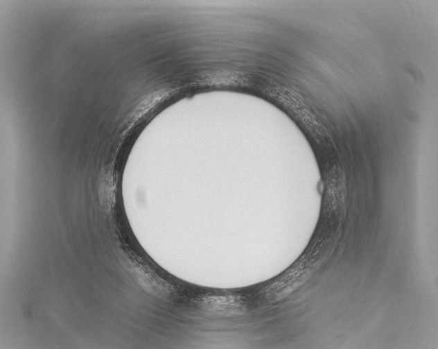 X0000114170160200911191254