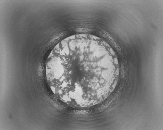 X0000114170161200911191254