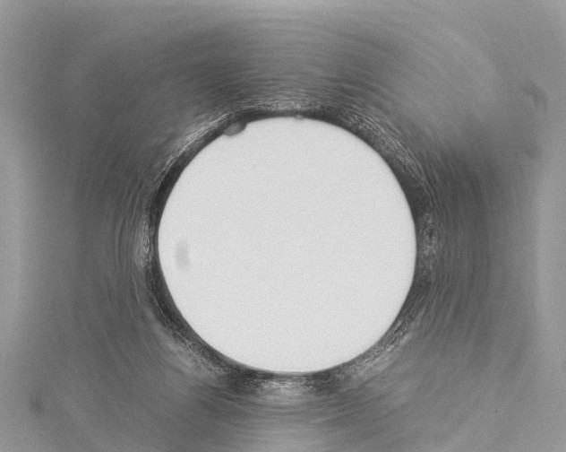 X0000114170164200911191254