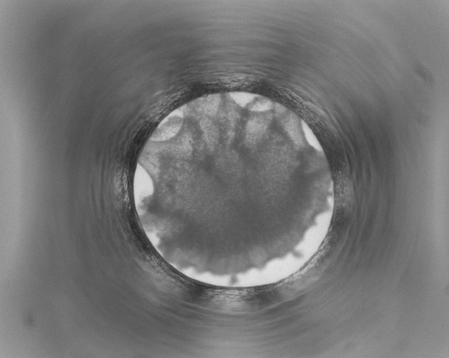 X0000114170182200911191254