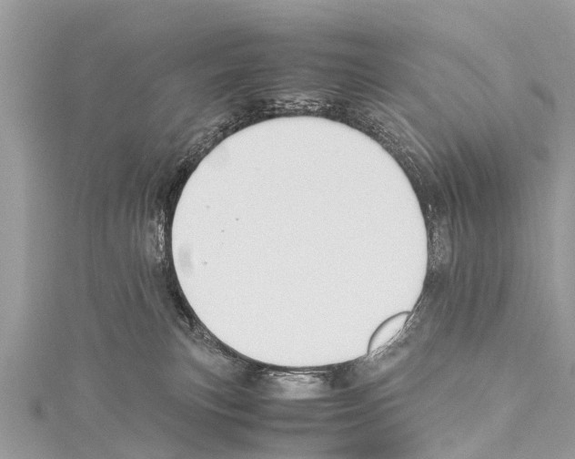 X0000114170183200911191254
