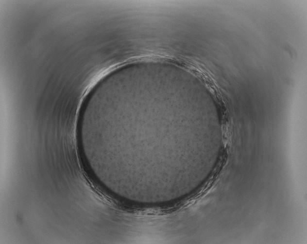 X0000114170196200911191253