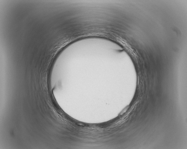 X0000114170201200911191253