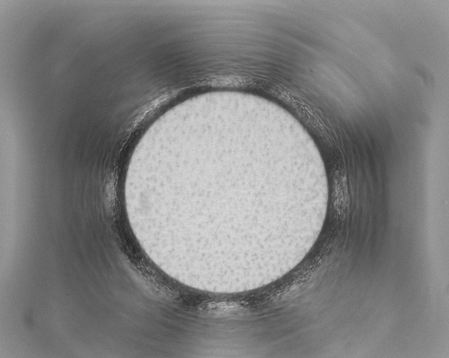 X0000114170208200911191253