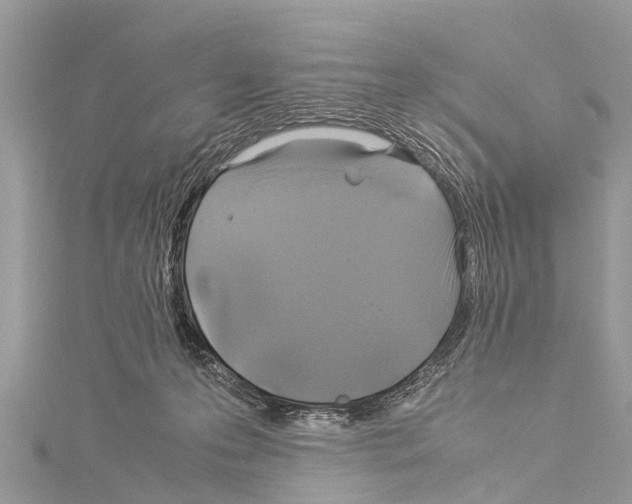 X0000114170223200911191253