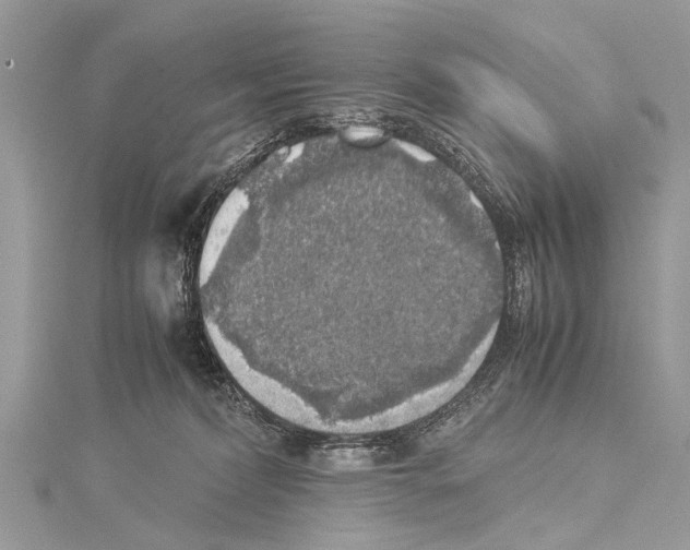 X0000114170228200911191253