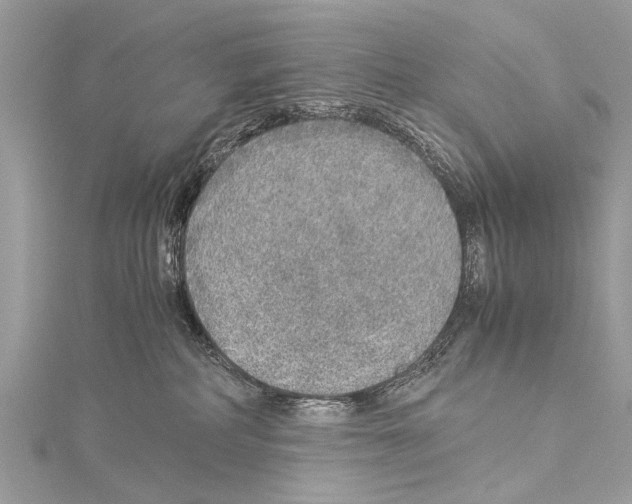 X0000114170234200911191253