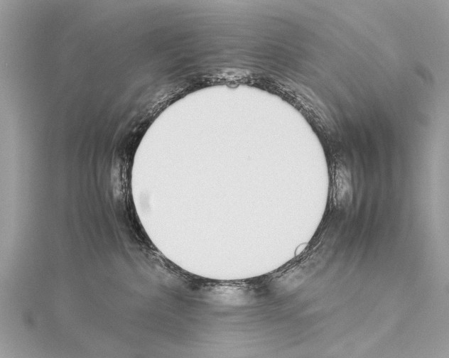 X0000114170236200911191253
